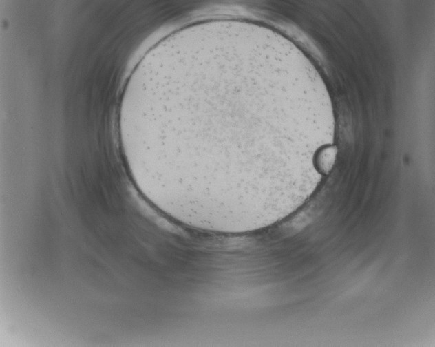 X0000079341382200612151857