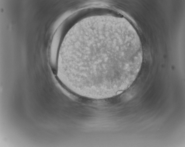 X0000079341383200612151857