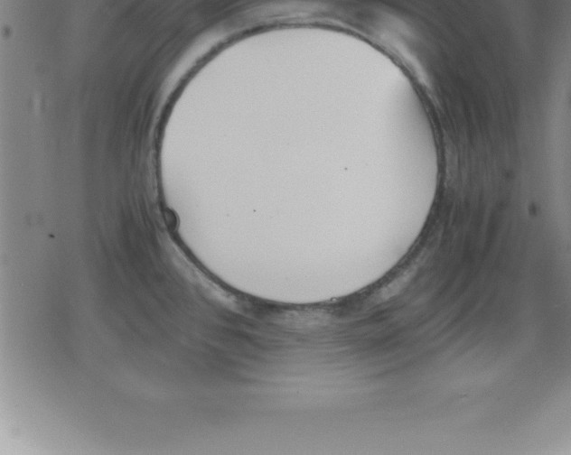 X0000079341384200612151857