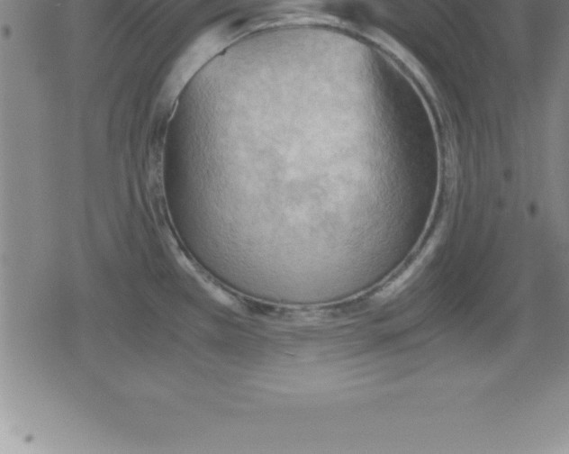 X0000079341385200612151857