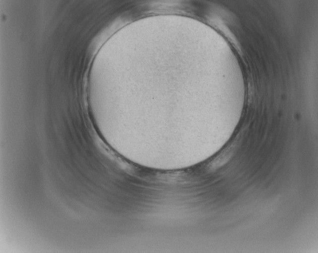 X0000079341386200612151857