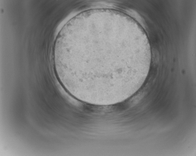 X0000079341387200612151857