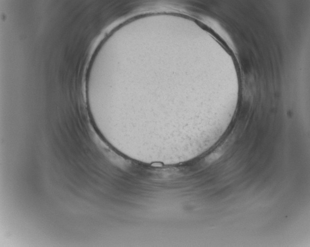 X0000079341388200612151857