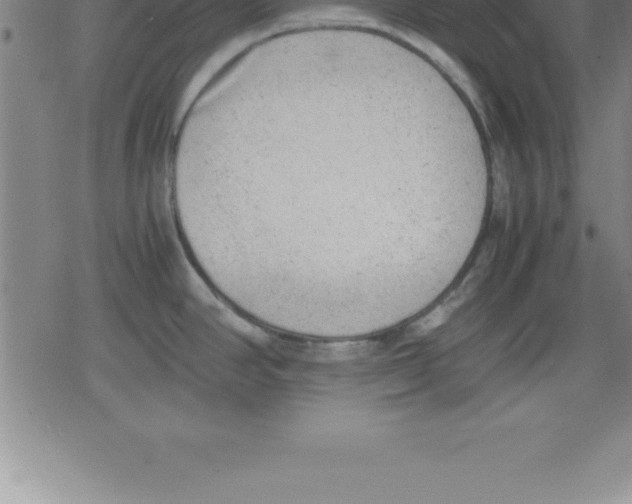 X0000079341390200612151857