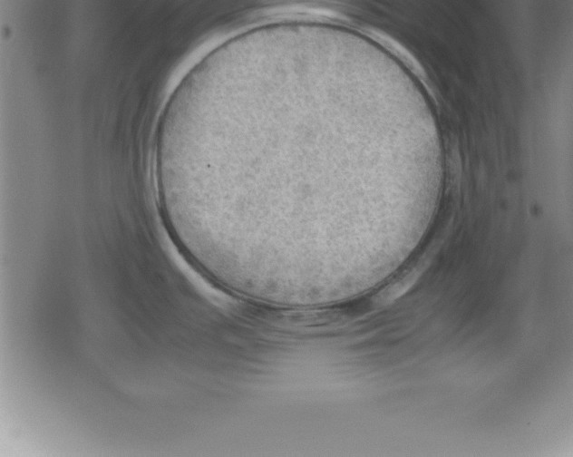 X0000079341391200612151857