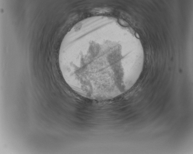 X0000079341393200612151856