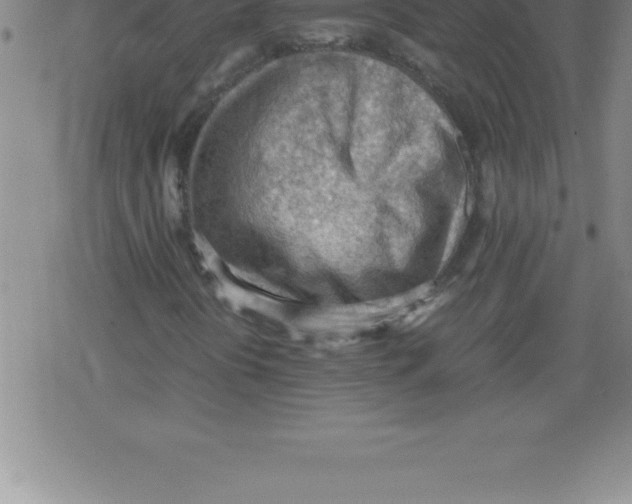 X0000079341394200612151856