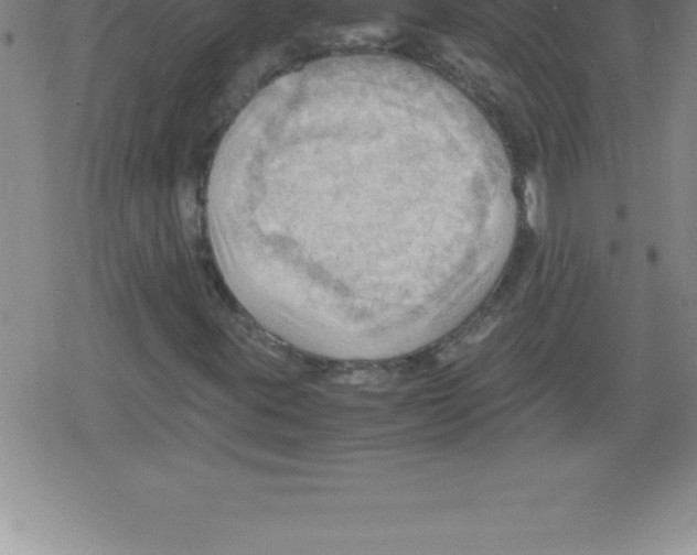 X0000079341395200612151856