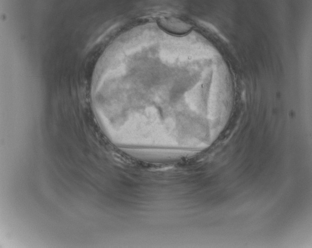 X0000079341399200612151856