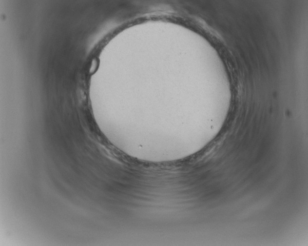 X0000079341400200612151856