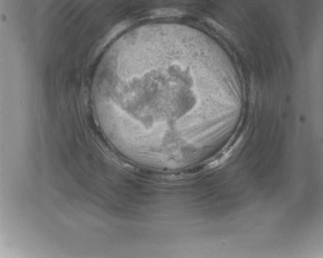 X0000079341401200612151856