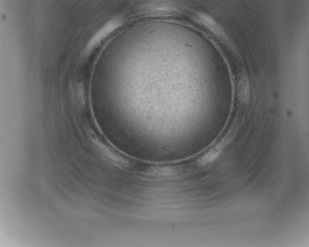 X0000079341402200612151856