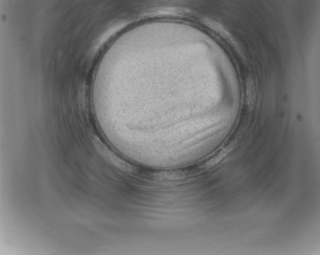 X0000079341404200612151856