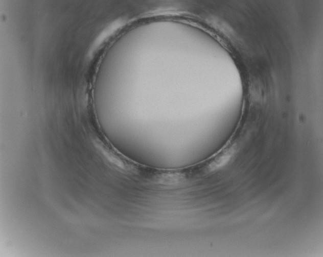 X0000079341406200612151856