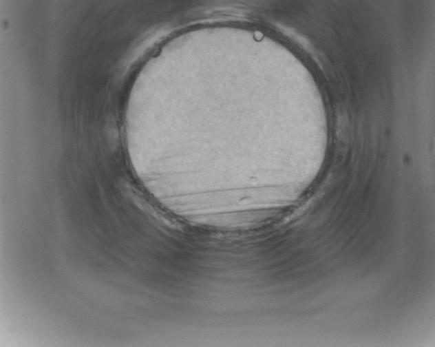 X0000079341407200612151856