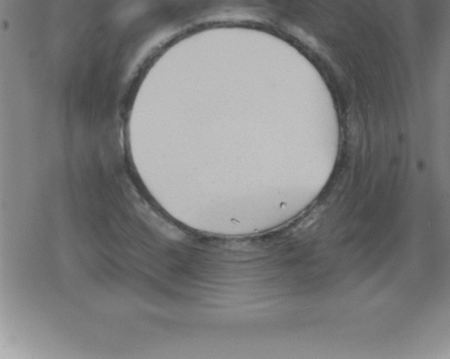 X0000079341408200612151856