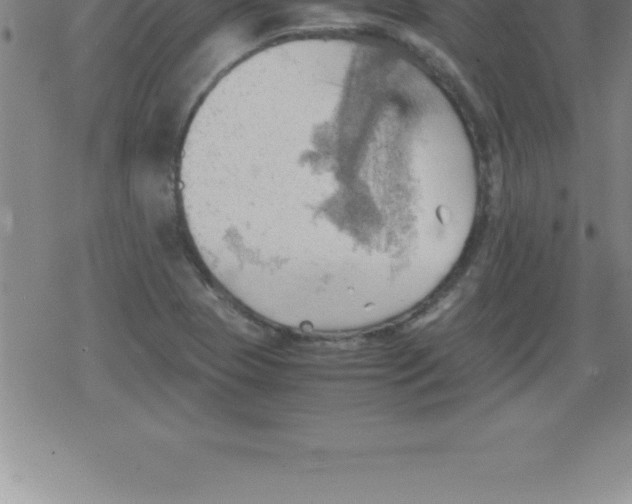 X0000079341409200612151856