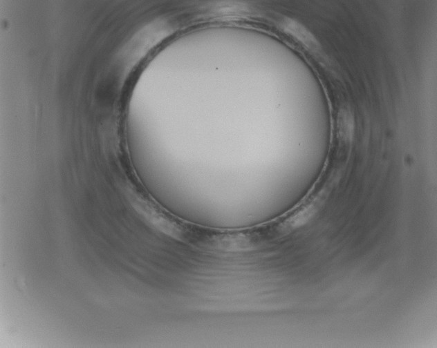 X0000079341410200612151856