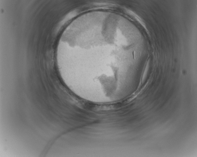 X0000079341411200612151856