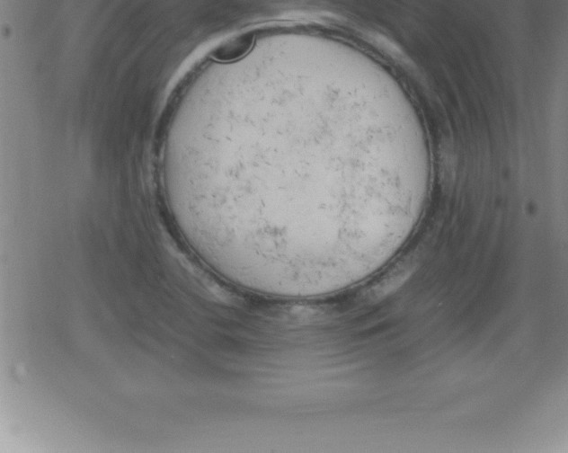 X0000079341412200612151856