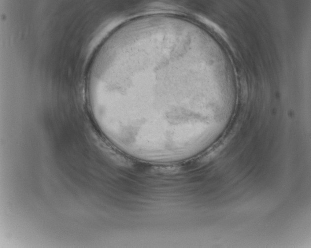 X0000079341415200612151856