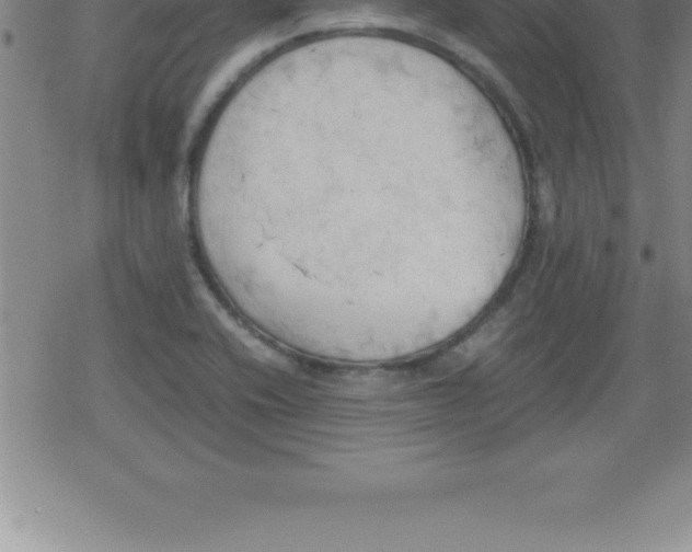 X0000079341416200612151856