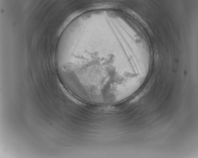 X0000079341417200612151856