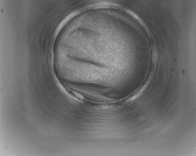 X0000079341418200612151856