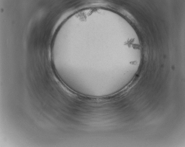 X0000079341420200612151856