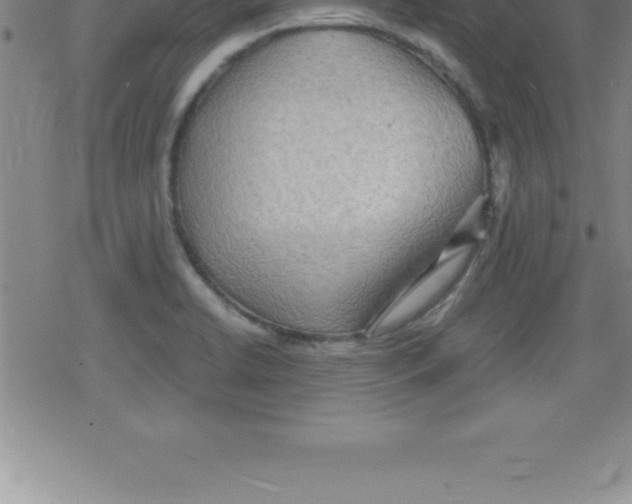 X0000079341422200612151856