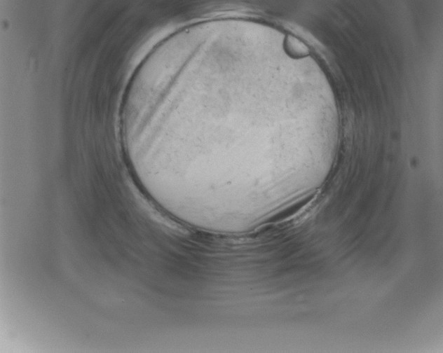 X0000079341423200612151856