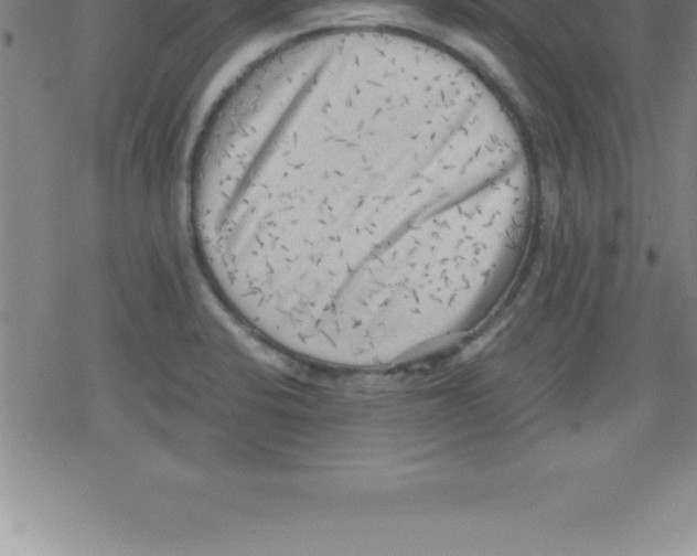 X0000079341424200612151856