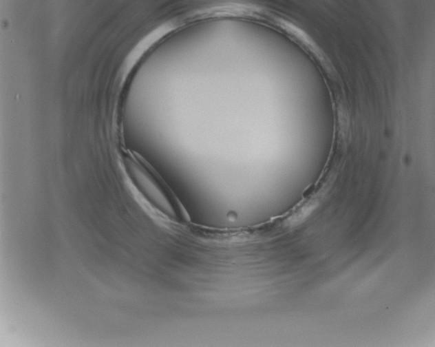 X0000079341426200612151856