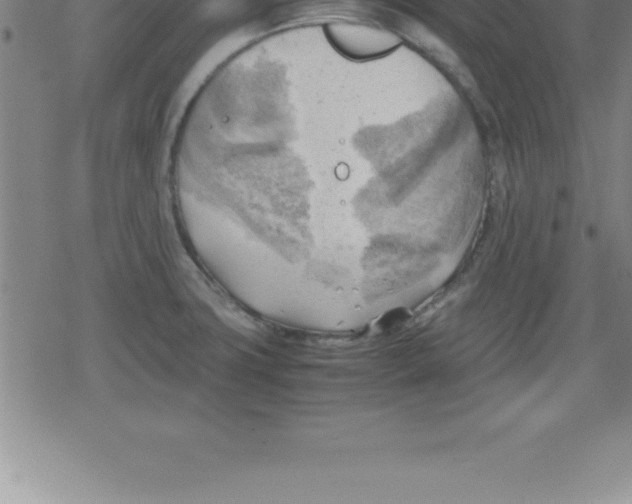 X0000079341427200612151856