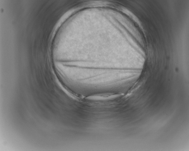 X0000079341429200612151856