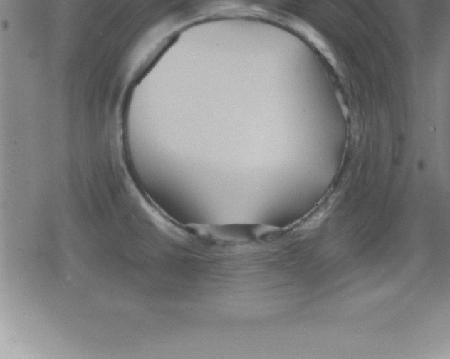 X0000079341430200612151856