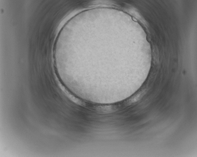 X0000079341431200612151856