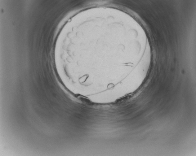 X0000079341432200612151856