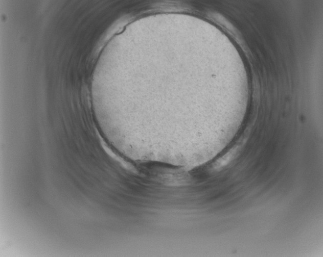 X0000079341433200612151857