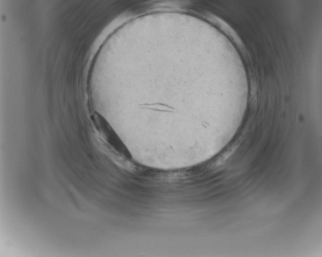 X0000079341435200612151857