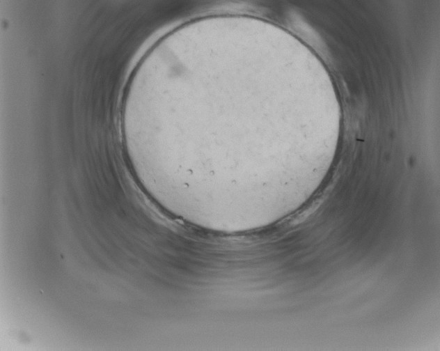 X0000079341436200612151857