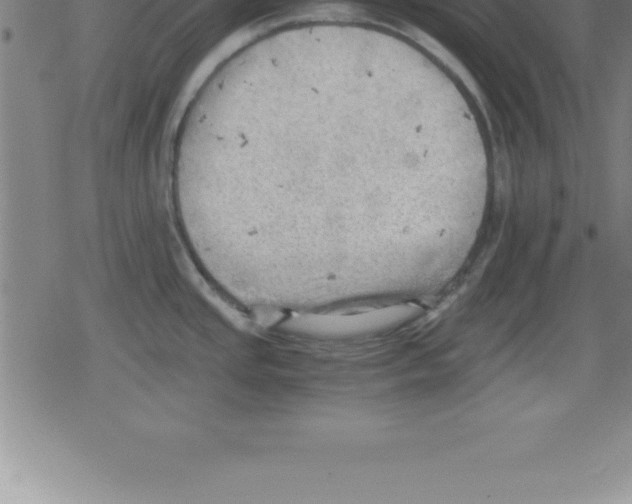 X0000079341437200612151857