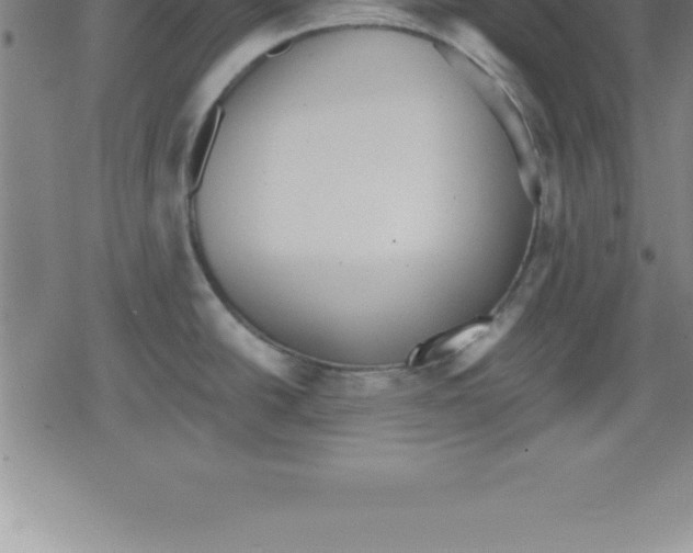 X0000079341438200612151857