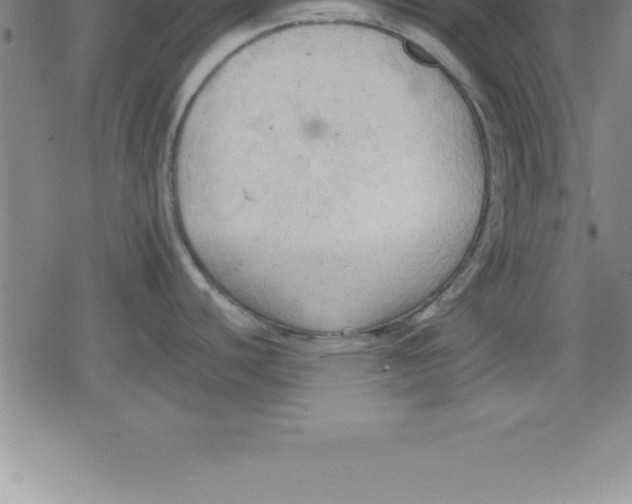 X0000079341440200612151857