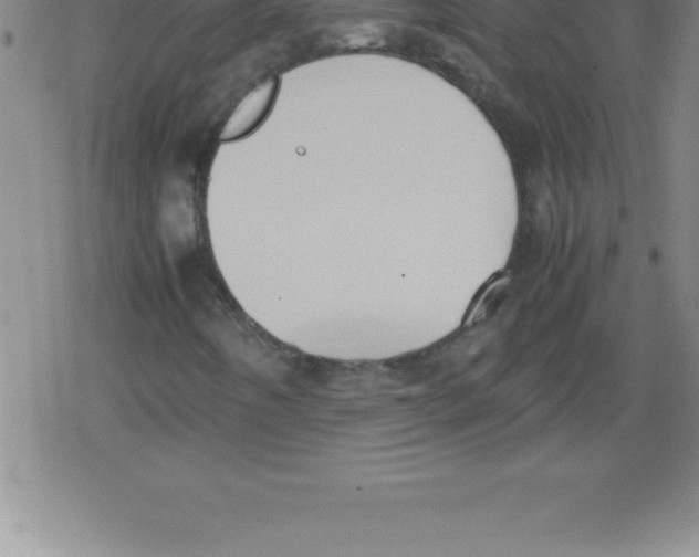 X0000079341442200612151856