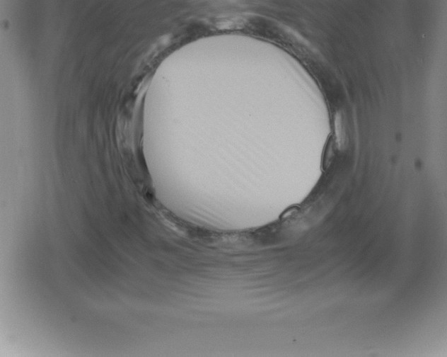 X0000079341443200612151856