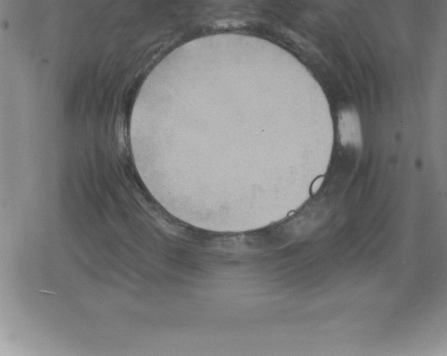 X0000079341444200612151856