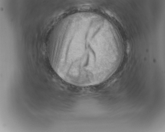 X0000079341445200612151856