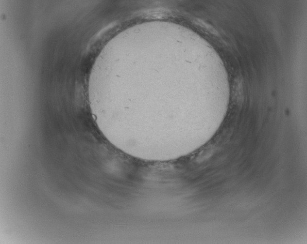 X0000079341446200612151856