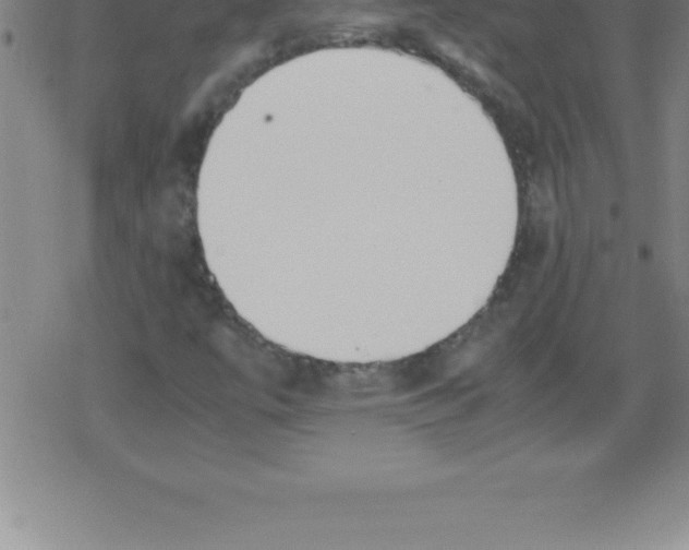 X0000079341447200612151856